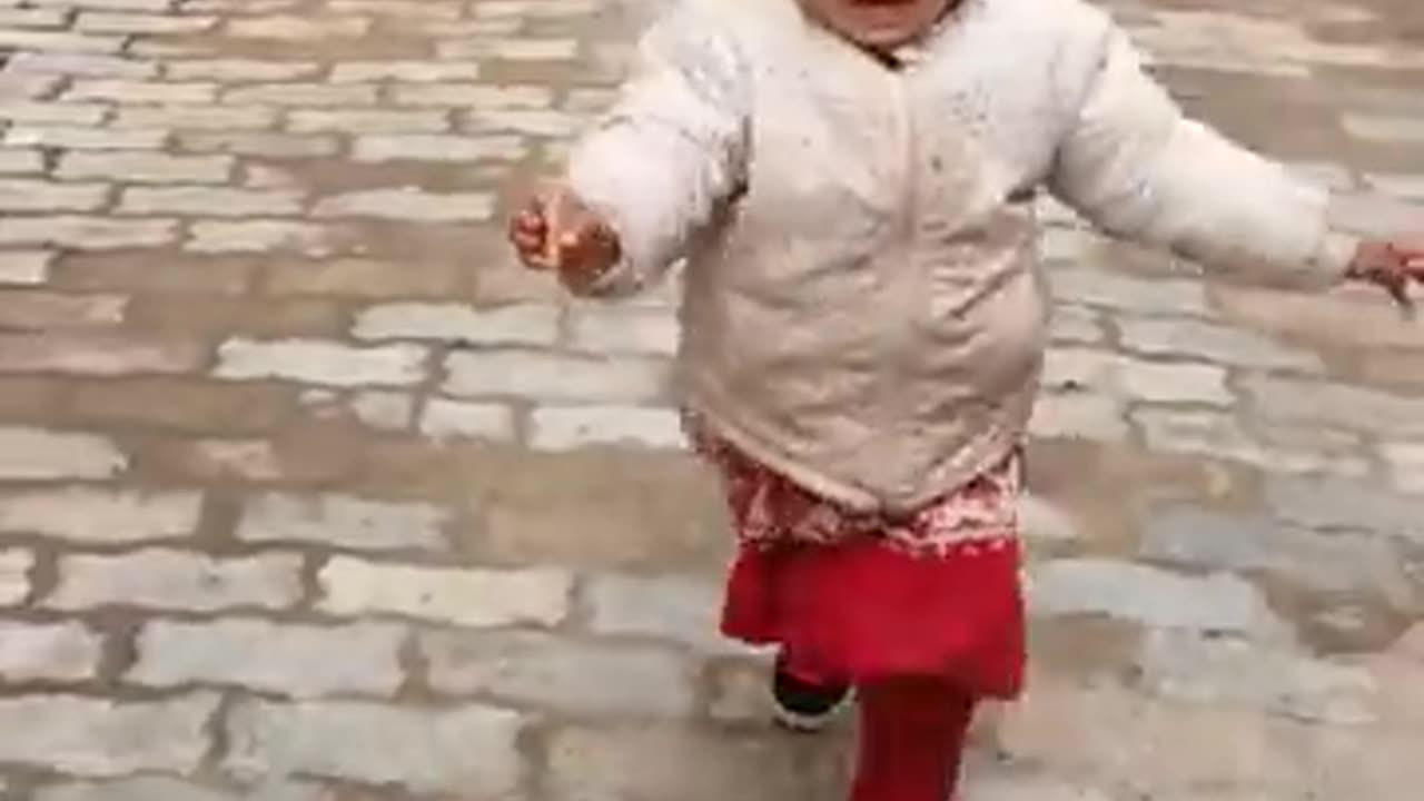 Cow Chase