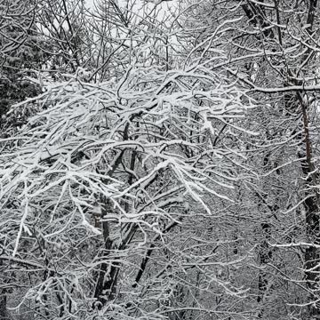 Snowlandia. New place