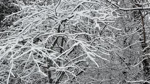 Snowlandia. New place