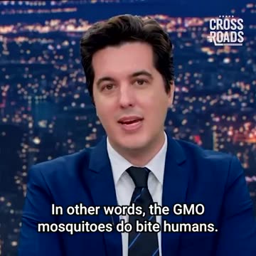 🔺Bill Gates GMO Mosquitoes