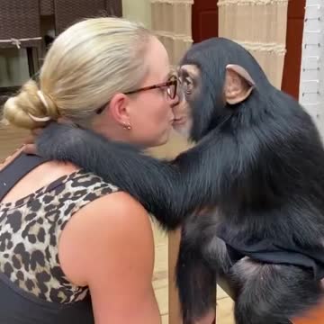 The friendship between monkeys and humans is amazing