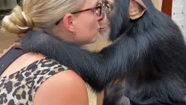 The friendship between monkeys and humans is amazing