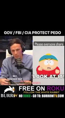 Three Letter Agencies Covering For & Facilitating Predators