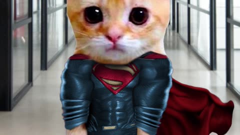 Super Cat