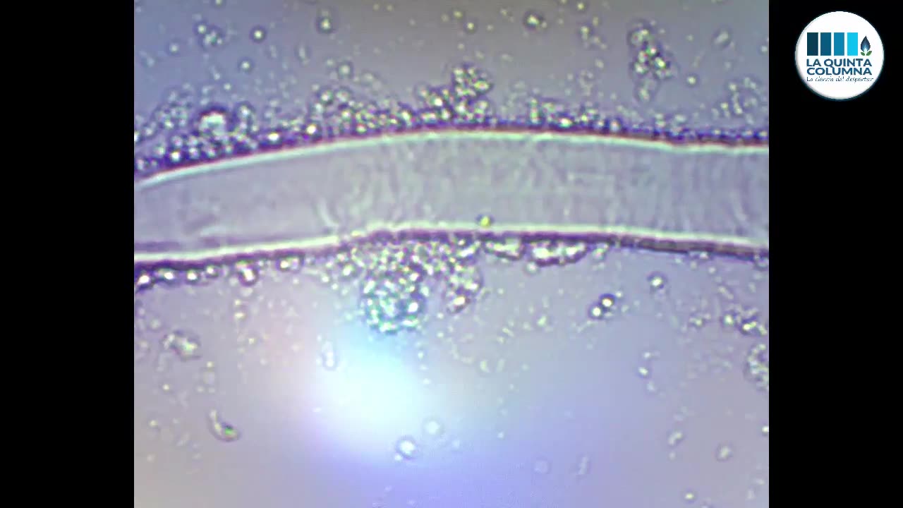 ПОДТВЕРЖДЕНО НАЛИЧИЕ ГРАФЕНА В ГЕПАРИНЕ CLEXANE 6000