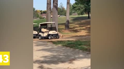 Top best 60 Best Fails Of The Year 2021