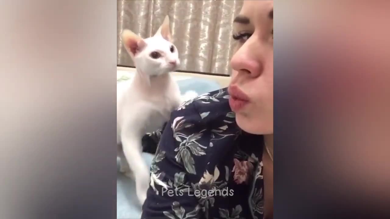 Funniest Animals π
New Funny Cats and Dogs Videos πΈπΆ