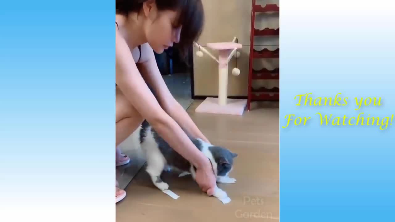 Cute baby cat (funny video)♥️