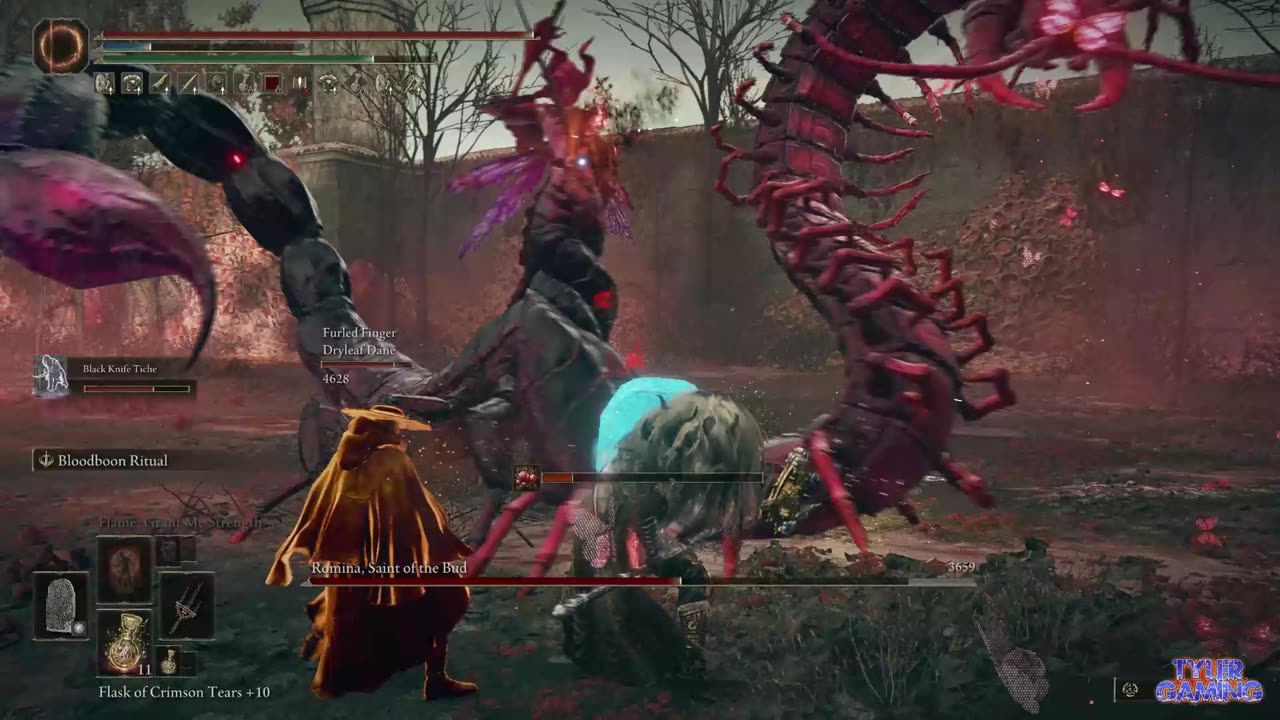 Elden Ring Shadow of the Erdtree Romina, Saint of the Bud Boss Fight
