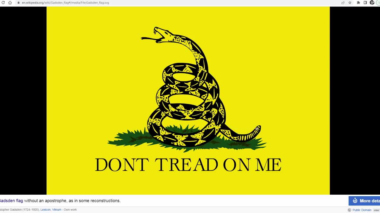 Gadsden Flag meaning and symbolism