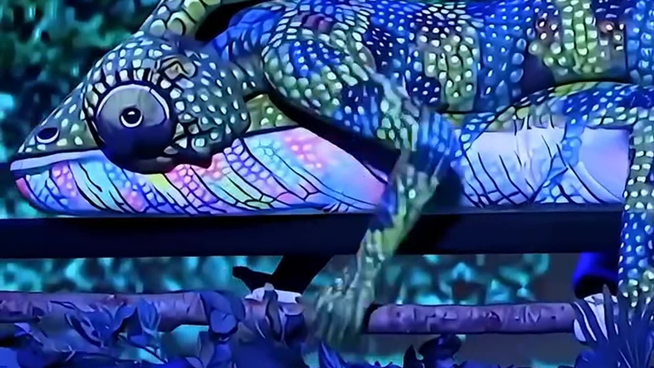 #video #beautiful #song #videoviral #bass @Beautful Content #funnyvideo @Funny Video