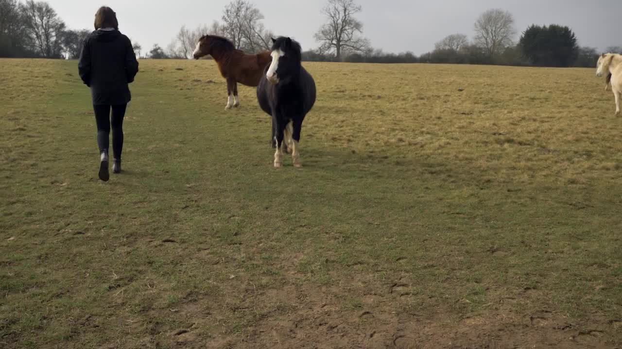 Sliding Shot of Young Woman Walking Past Small Herd of Horses