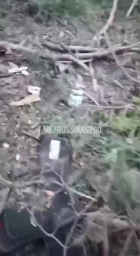 Rounding Up Russians Left Behind