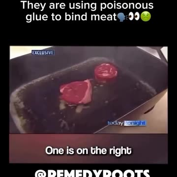 Truthseeker - 🤬Meat Glue‼️