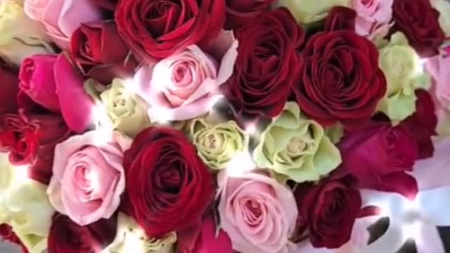 I bought a bunch of flowers today to meet you