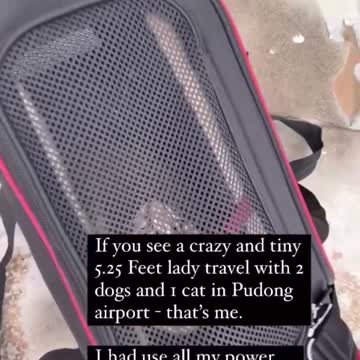 Leaving Shanghai 🇨🇳🥴