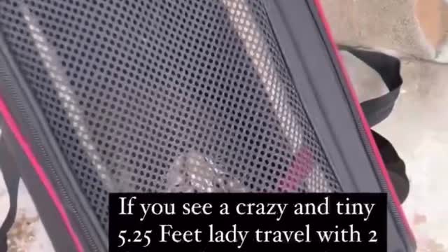 Leaving Shanghai 🇨🇳🥴