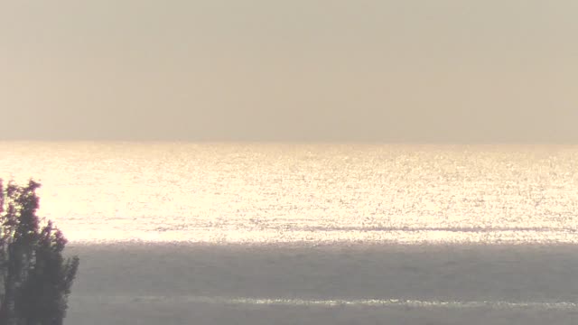 Fishermen on the Black Sea