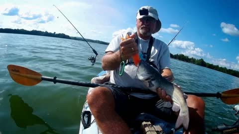 mid July fishing for catfish