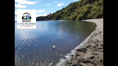 ¿Hacia dónde vamos? Invitada Antonia Henríquez - Radio la Voz del Barrio