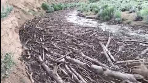 Crazy Flash Flood in Johnson Canyon, Utah.