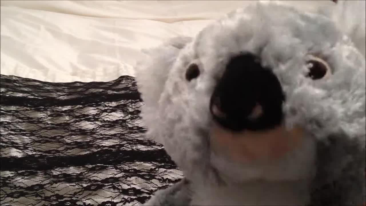 Minkplush Nellie the Koala