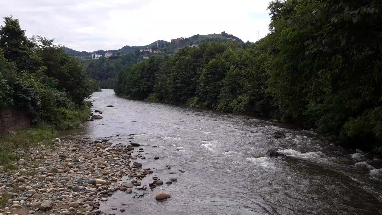 Sections from Creek Videos 9