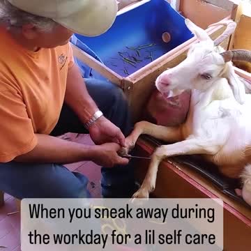 This is your sign to treat yourself!