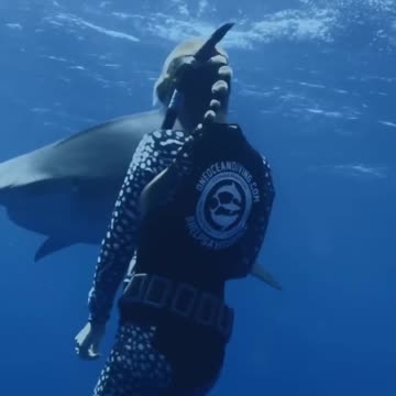 EYE to EYE with a Tiger Shark
