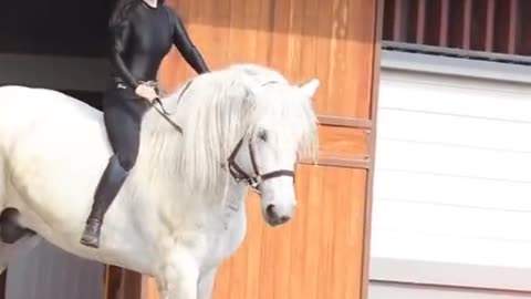 Horse Riding With Cute Girl || Beautiful Girl video