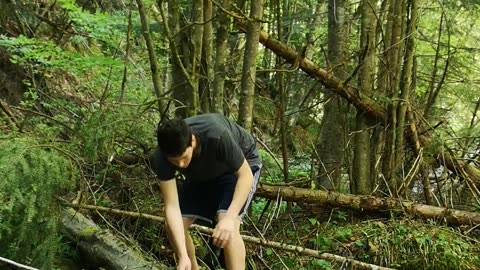 Man Falls Crossing Branch Over Stream