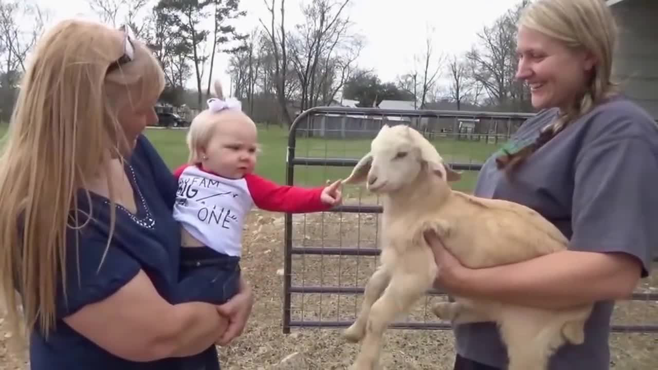 Baby Girl Perfectly Mimics Little Goat in the Farm