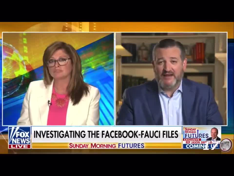 Ted Cruz: Facebook Could Have "Significant Liability" for Acting on Government's Behalf