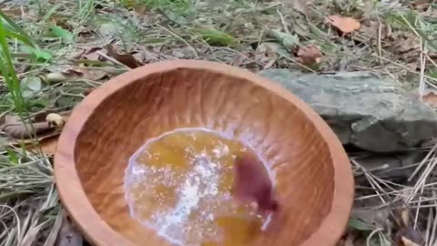 🥩 cabbage wrap with lamb ribs in antique stone pot