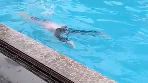 funny swim