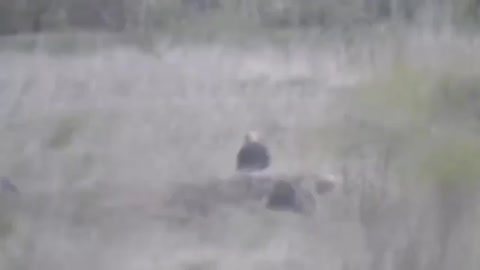 Russian snipers hit a Ukr dummy target
