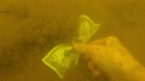 Metal Detecting While Scuba Diving Popular Swim Spot For Lost Treasure!-6
