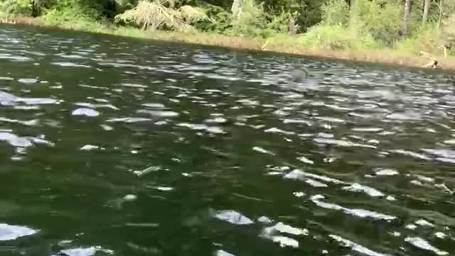 Patriot Fishing part 6-1