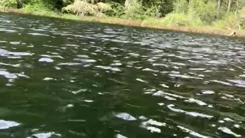 Patriot Fishing part 6-1