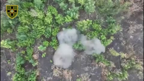 Double victory in battles in the forests near Toretsk in the Donetsk region.