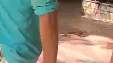Mandir ka apmaan 🙏
