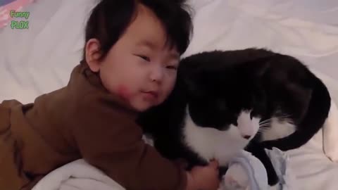 Funny Babies and Animals Video