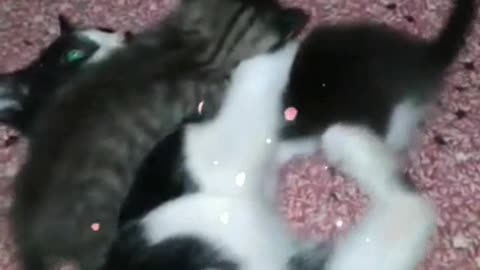 Love is beautiful, affection with your little ones