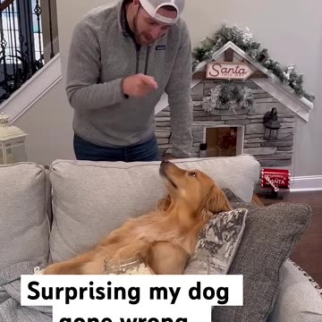Surprising my dog fail!