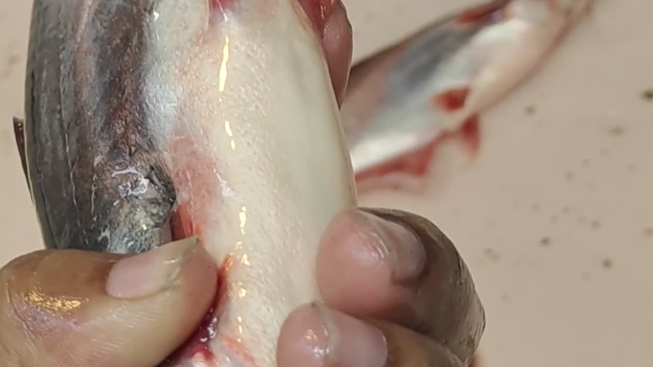 Big Pangas Fish Live Nice Video In Fish Market#shorts