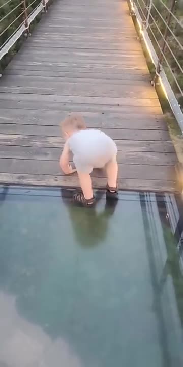 FUNNY--Toddler-Attempts-to-Cross-onto Glass-Bridge-Viral