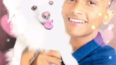 Best india dog 😉😉