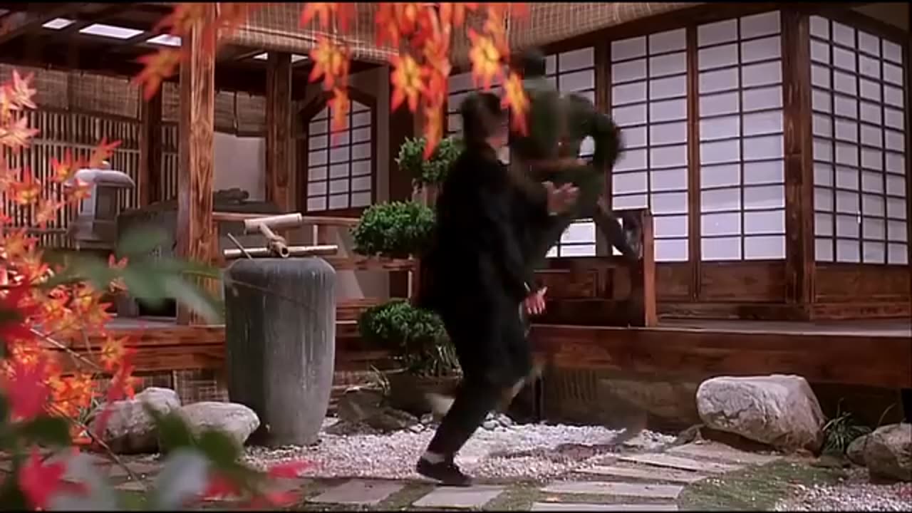 JET LI SUPERHIT FIGHT