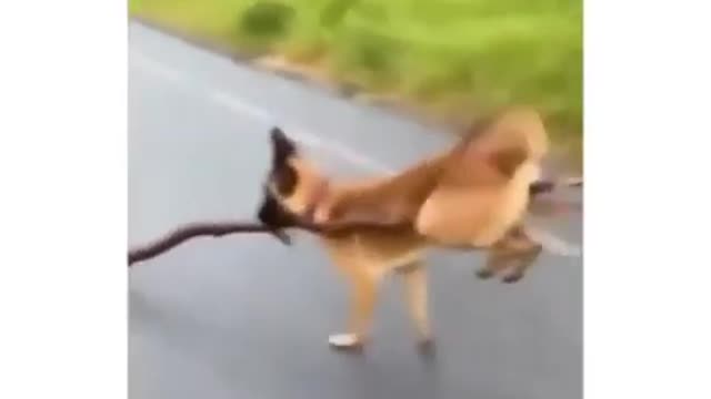 y'all gotta see this!!!