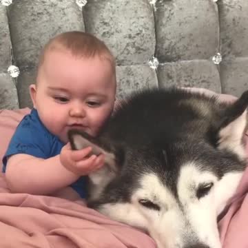 Cute baby animals Videos Compilation cutest moment of the animals - 🐶 Cutest Puppies #2